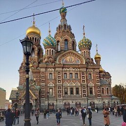 �����, �����-���������, 43 ����