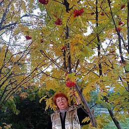 ������, �������, 60 ���