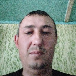 ������, ������, 41 ���