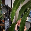 ���� ��������, ������, 42 ���� - ��������� 14 ������� 2024 � ������ ���� ����������