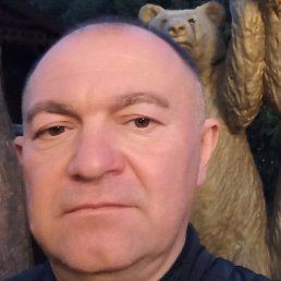 ����, �������, 49 ���