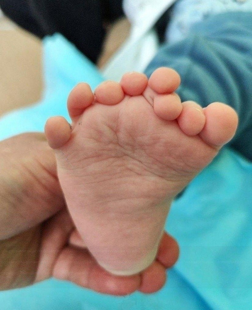 ������ ������� ���� � ������� �� ��������.������� ������� ����� ������ � ������ ���������� �������� ...