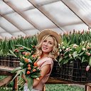���� �������, ������������ - ��������� 23 ����� 2024 � ������ ���� ����������