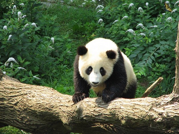 11 ����� ������������� ���� ����� - 3