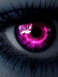 ���� ������, ��������, 62 ���� - ��������� 5 ������ 2024