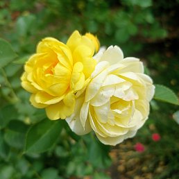 ���� ���������, �������, 47 ��� - ��������� 2 ������� 2025