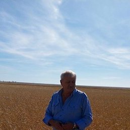 ���������, ��������