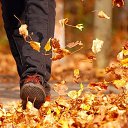 ���� Black Angel, ������, 35 ��� - ��������� 19 ������ 2024 � ������ ������ ��������