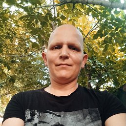 ���� �����, ������, 37 ��� - ��������� 27 ������� 2023