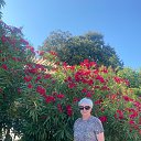 ���� ������, �����, 58 ��� - ��������� 15 ������� 2025 � ������ ���� ����������