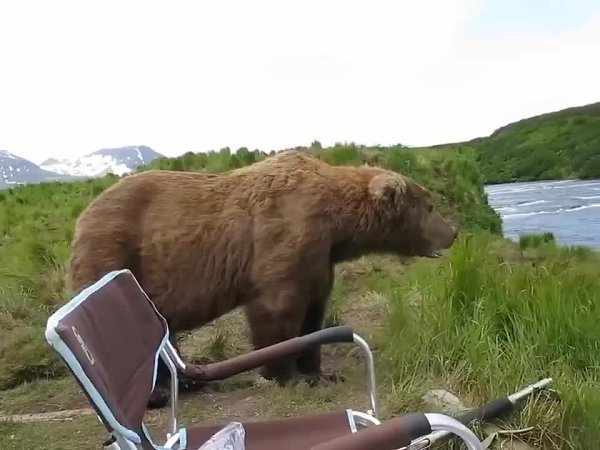 a a��a��e �po��o��a ������e���a� �c�pe�a �e�o�e�a � ���o� �p�po��. e��e��, o����o c���a����c� ... - 2