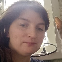 ��������, �����������, 34 ����