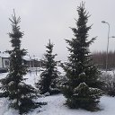 ���� Svetorada, ��������� - ��������� 10 ������ 2025 � ������ ������ ��������