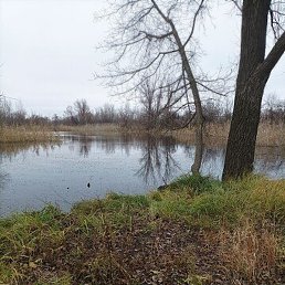 ������, ���������, 47 ���