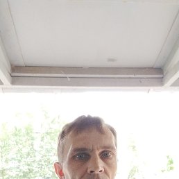 Vladimir, 41 , 