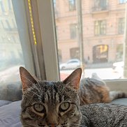 ��� �����������, 18 ���, ������