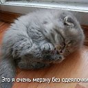 ���� ������, ������, 37 ��� - ��������� 16 ������ 2023 � ������ ������ ��������