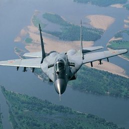 ����, �������, 51 ���