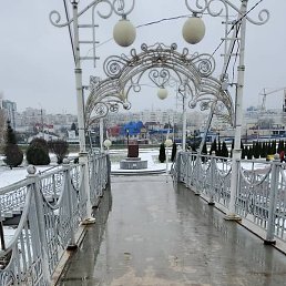 �����, ��������, 23 ����