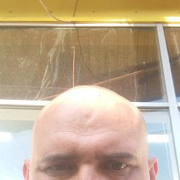 , 37, 