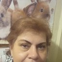 ���� �������, �����-���������, 58 ��� - ��������� 28 ������ 2023 � ������ ���� ����������