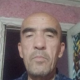 ��������, �����, 64 ����