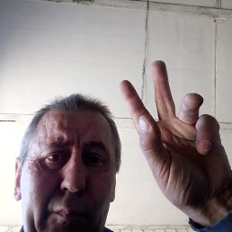 , 53, 