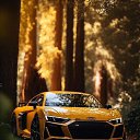 ���� Doniyorjon, �������, 40 ��� - ��������� 11 ������� 2024 � ������ ���� ����������