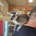 ���� ����, ������� - ��������� 26 �������� 2024 � ������ ���� ����������