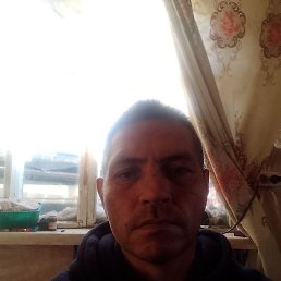 ��������, ������, 41 ���