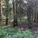 ���� �������, �����-���������, 63 ���� - ��������� 7 ���� 2024 � ������ ���� ����������