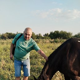 ���� ����������, ������-��-����, 46 ��� - ��������� 19 ������� 2025