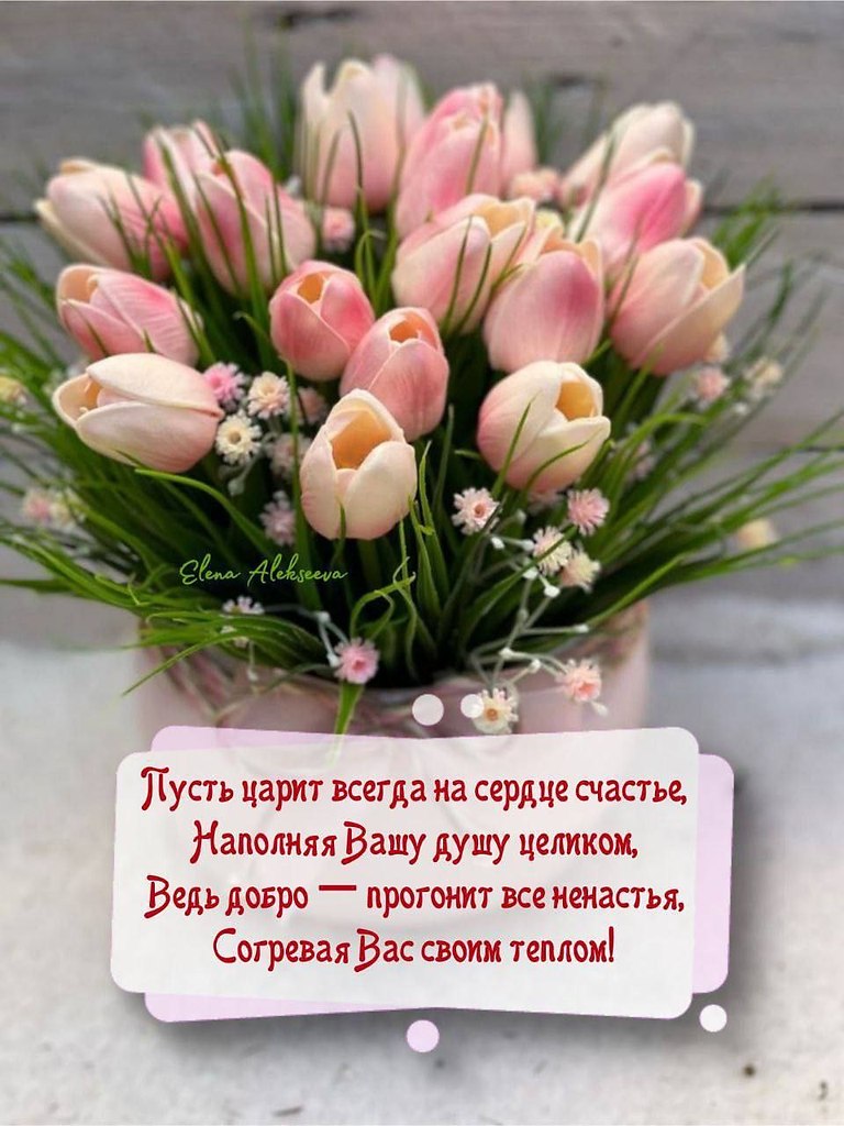   ,    . - 19  2025  18:02 - 3