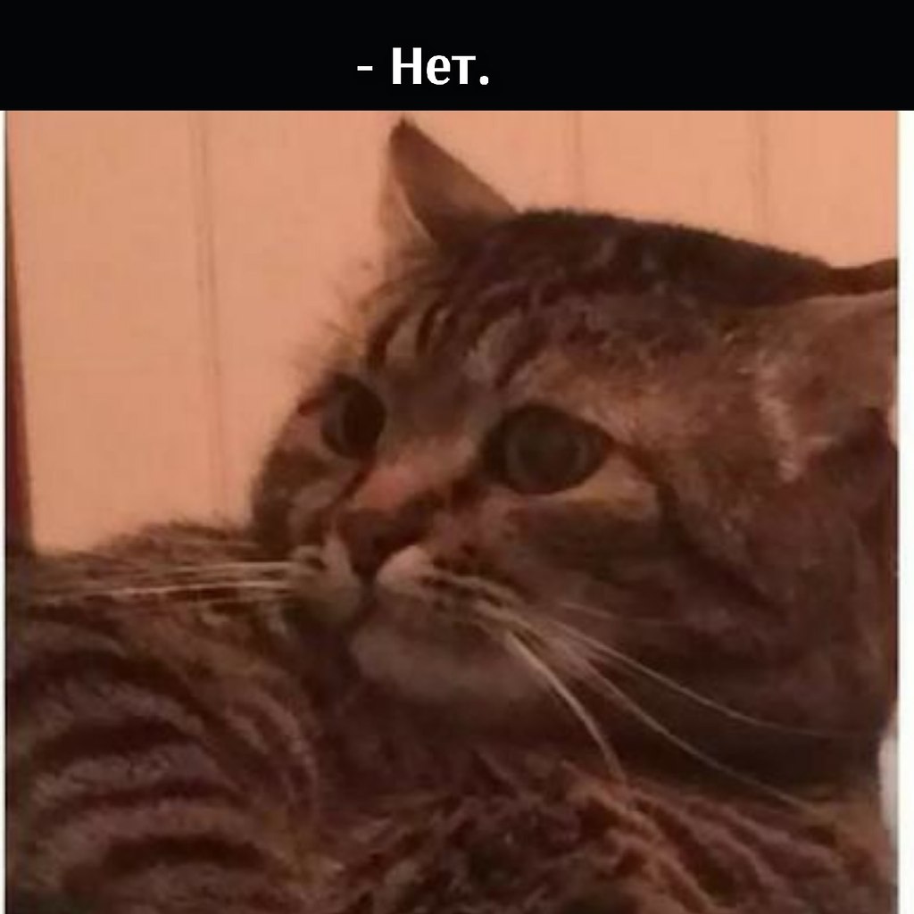       - 31  2025  17:02 - 2