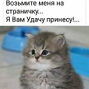 ���� ������, ����������, 58 ��� - ��������� 9 ����� 2024 � ������ ���� ����������