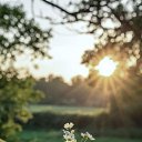 ���� ����������, ������, 47 ��� - ��������� 28 ���� 2025 � ������ ������ ��������