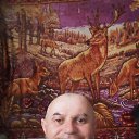 ���� ����, ������, 46 ��� - ��������� 5 ��� 2025 � ������ ���� ����������