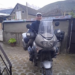 , 61, 