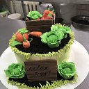 ���� �������, �������, 63 ���� - ��������� 10 ������ 2026 � ������ ���� ����������