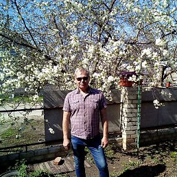 ��������, �������, 67 ���