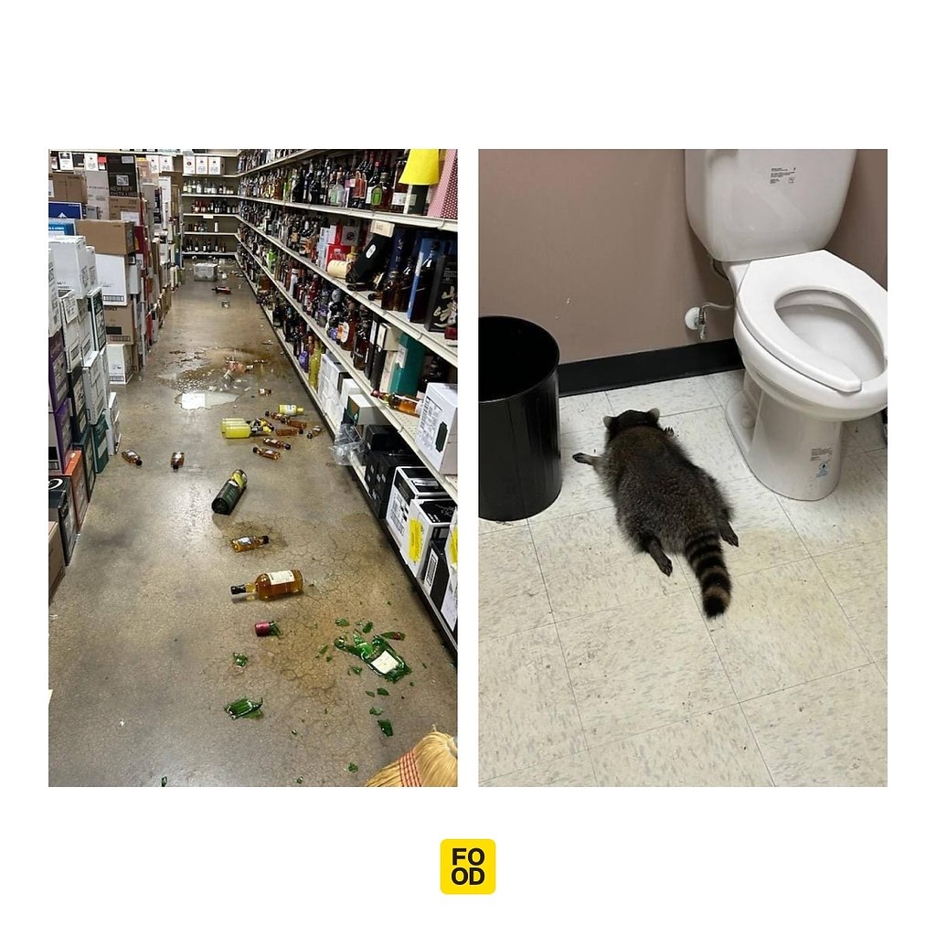 0% ���������, 100% ���������.���� ��������� �����-�������� ������� � ��� � ������ ���������� ����� � ...