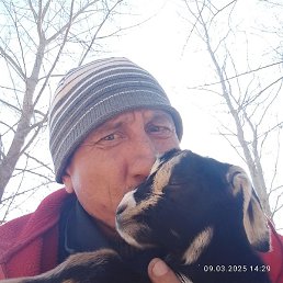 ������� ����������, ����������, 46 ���