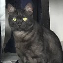 ���� ���������, ������ - ��������� 6 ������� 2025 � ������ ���� ����������