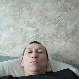 �����, �����������, 36 ���