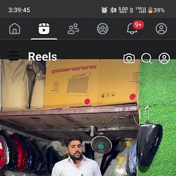 Anas, �����������, 33 ����