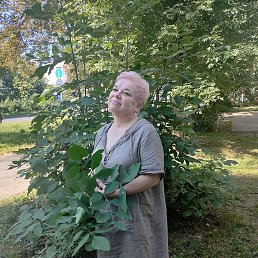 ��������, ������, 51 ���