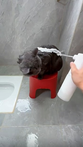 ��� ���� �� ��� - ��� ����� �� �����! P.S ���� �����-�� ��������� �� ���������... - 2