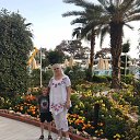 ���� ������, ��������, 63 ���� - ��������� 2 ����� 2026 � ������ ���� ����������