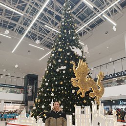 �����, �����, 24 ����