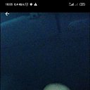 ���� ������� ������, �������, 35 ��� - ��������� 18 ��� 2025 � ������ ���� ����������